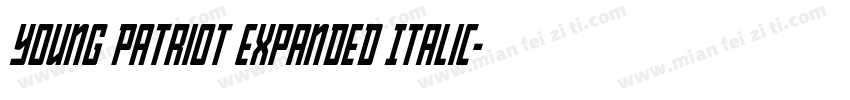 Young Patriot Expanded Italic字体转换